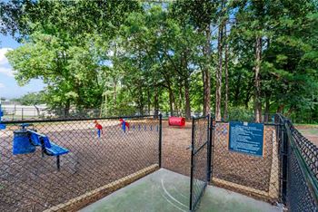 Bark park